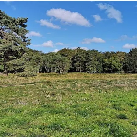 5 Person In Rorvig-by Traum * Rørvig