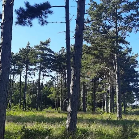 Prázdninový dům 5 Person In Rorvig-by Traum